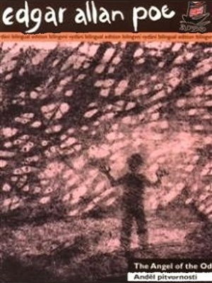 Anděl pitvornosti - Poe