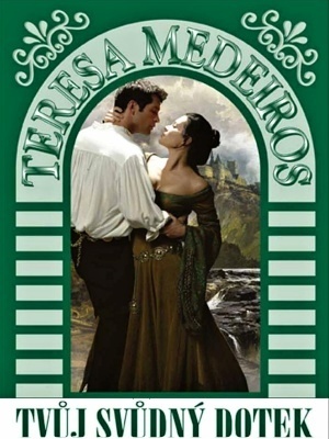 Bratři Burkeovi 2. - Tvůj svůdný dotek - Medeiros T.