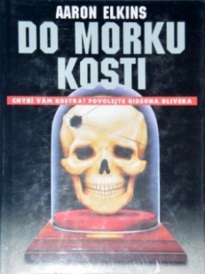 Do morku kostí - Elkins A.