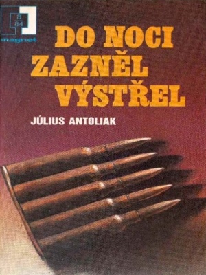 Do noci zazněl výstřel