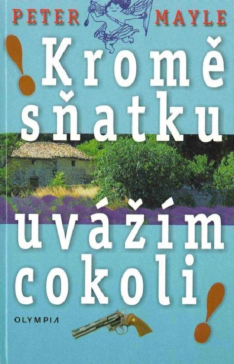 Kromě sňatku uvážím cokoli