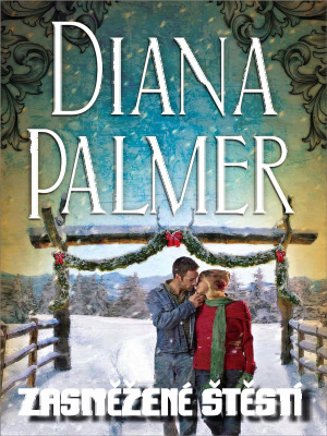 Long, Tall Texans 04. Zasněžené štěstí - Palmer D.