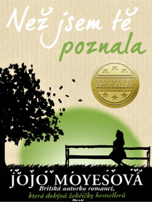 Než jsem tě poznala - Moyes J.