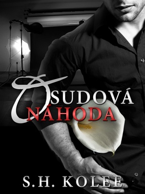 Osudová náhoda - Kolee S. H.