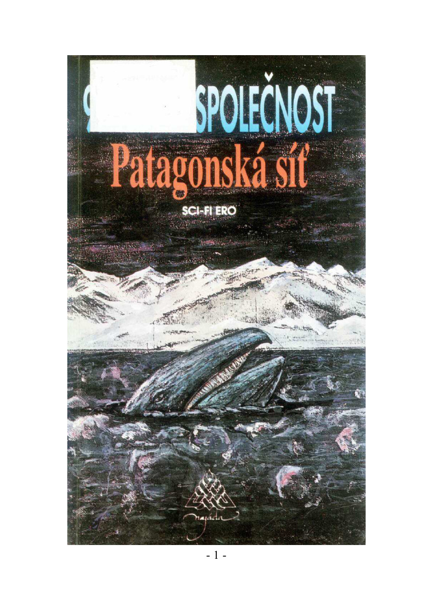 09-Ledová společnost- Patagonská síť