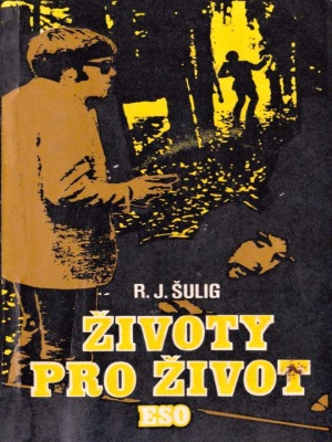 Život pro život